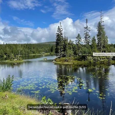 Mylla - New - Sauna - Hike - Bike - Canoe- Fishing Casa vacanze Jevnaker