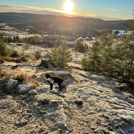 Mylla - New - Sauna - Hike - Bike - Canoe- Fishing * Jevnaker